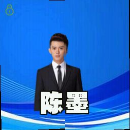 陈墨